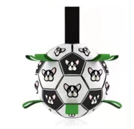 Interactive Soccer Brain Game for Dogs