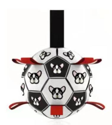 Interactive Soccer Brain Game for Dogs